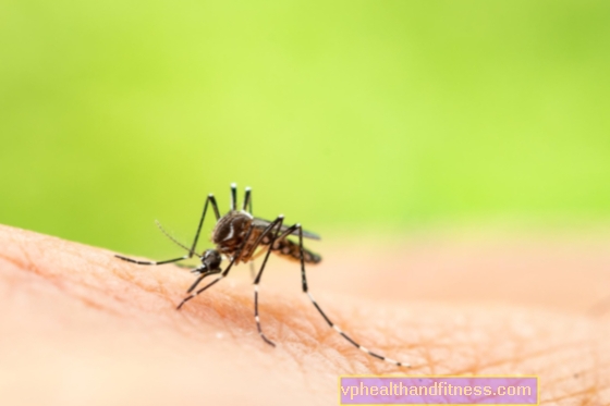 ¿Los mosquitos y las garrapatas transmiten el coronavirus?