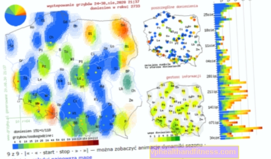 Mapa de hongos. ¿Dónde están las setas? UBICACIONES