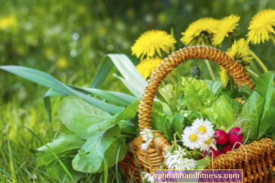 Plantas silvestres comestibles: diente de león, ortiga, pensamiento, margarita, caléndula, pata de gallo, capuchina