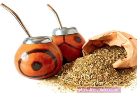 Yerba mate: propiedades y método de elaboración.