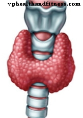 Symptomer og behandling af Hashimotos thyroiditis