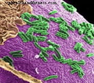 腸内の微生物は腫瘍のリスクを判断するのに役立ちます