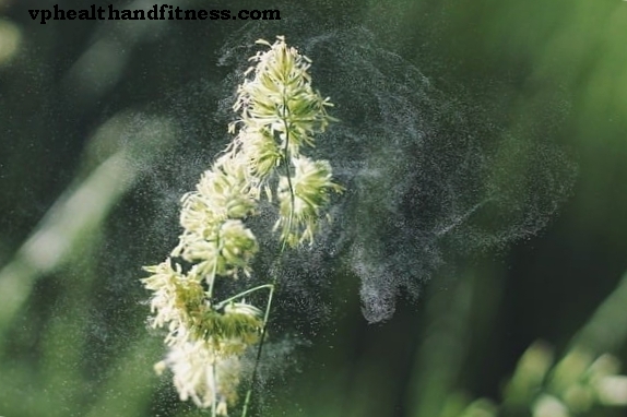 Nouveau traitement pour lutter contre les allergies