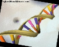 Sửa chữa hư hỏng DNA, nguyên nhân của bệnh xơ cứng teo cơ bên?