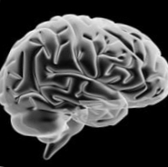 科学者は寒さを感じる能力を無効にします