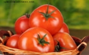 Tomate ajuda a prevenir câncer de próstata