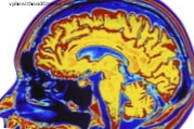 Identifique um receptor chave do sistema nervoso para a prevenção da epilepsia