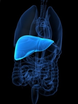 Cirrhosis - Rawatan