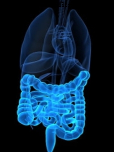 Colopathy - อนุญาตให้มีอาหารและต้องห้าม