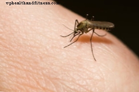 Virus chikungunya và muỗi hổ