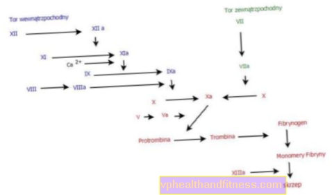 APTT eller Coalin-Cephalin Time: Standarder