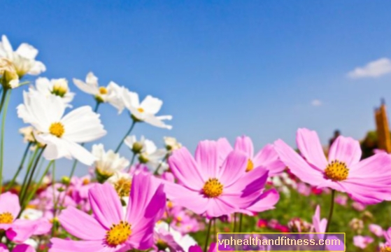 Solsticio de primavera: síntomas del solsticio de primavera