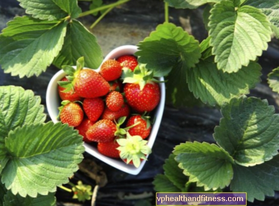 Cosmétiques à la fraise. Recettes de cosmétiques à la fraise faits maison