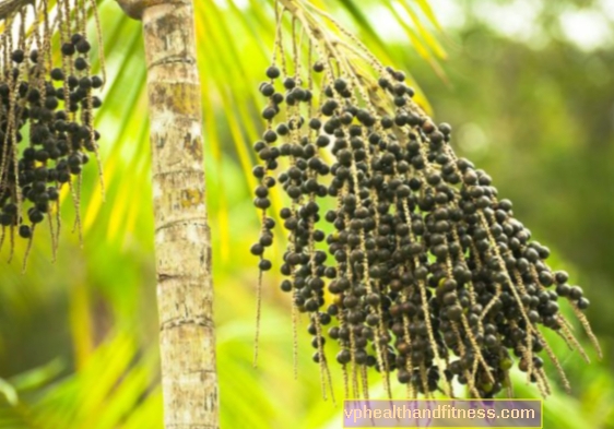 ACAI: arándanos no solo para adelgazar. Propiedades saludables de la fruta de acai