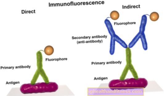 Antigene: definizione, significato, classificazione, proprietà