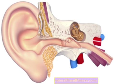 Struttura dell'orecchio: orecchio esterno, interno e medio