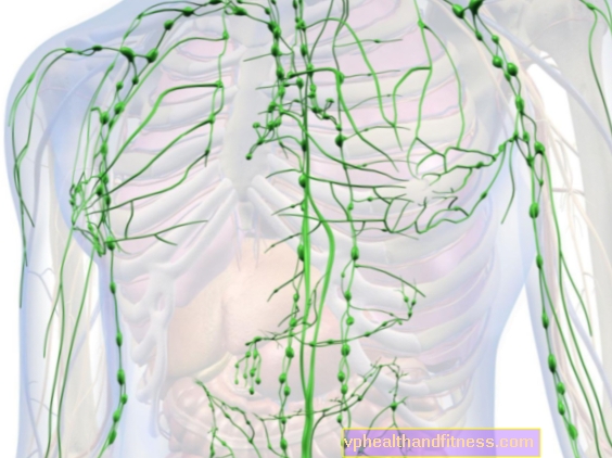 Lymfa alebo lymfa - štruktúra a funkcie