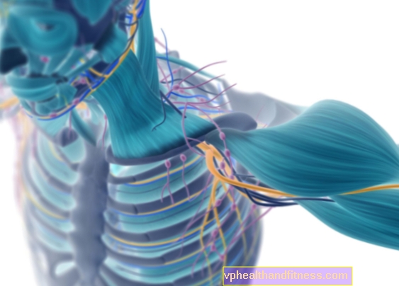 Enfermedades neuromusculares: clasificación, síntomas y tratamiento.