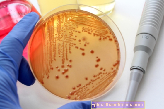 Escherichia coli - nový liek sa testuje v boji proti baktériám typu EHEC