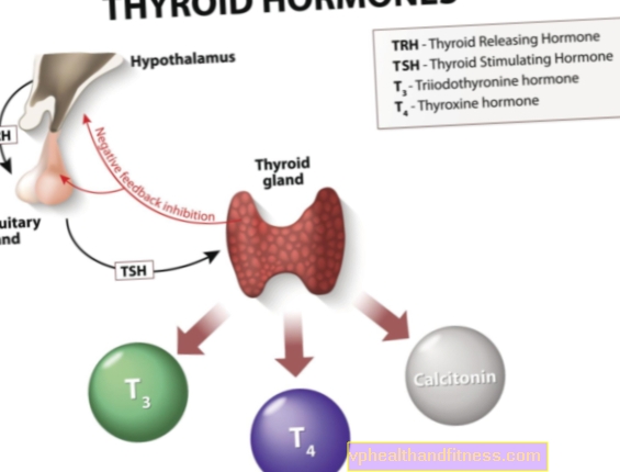 Hormonas tiroideas: tiroxina, triyodotironina, calcitonina