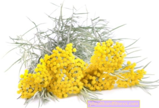 Helichrysum เพื่อสุขภาพและความงาม คุณสมบัติและการใช้ Helichrysum