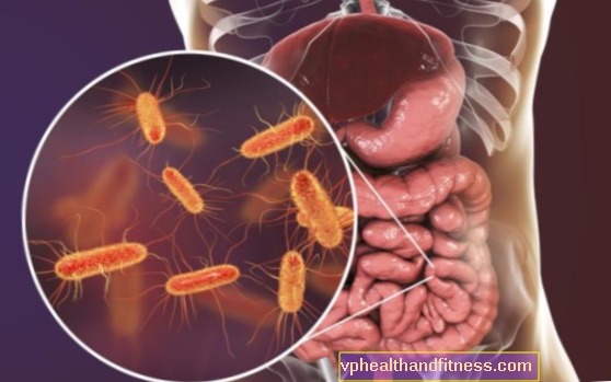 Microbioma: ¿qué es y cuáles son sus funciones?