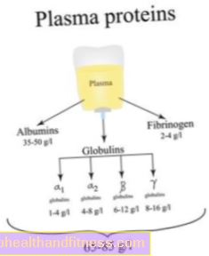 Plasma: hvad er det, og hvad er dets funktion? Hvornår giver vi plasma?