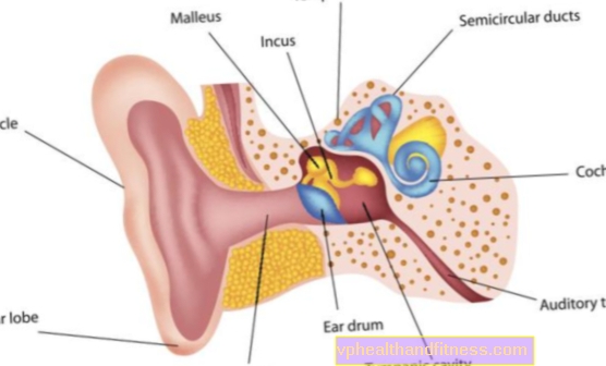 Otosclerosis: causas, síntomas y tratamiento