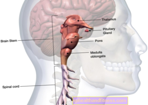 Tronco cerebral: estructura, funciones y enfermedades. Muerte del tronco encefálico