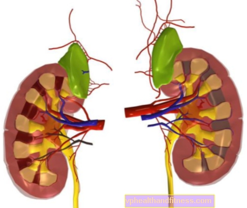 Enfermedad renal crónica (ERC): causas y complicaciones