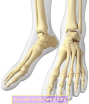 ANKLE JOINT - struktur dan cedera sendi pergelangan kaki yang paling umum