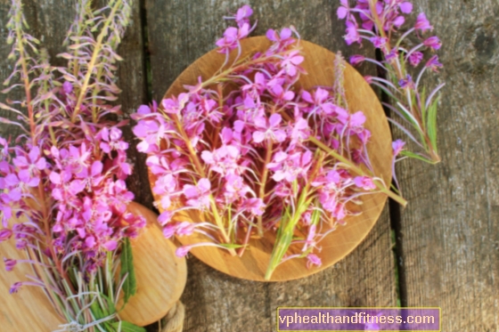 TERAPI DR. BACHA: blomster har helbredende energi