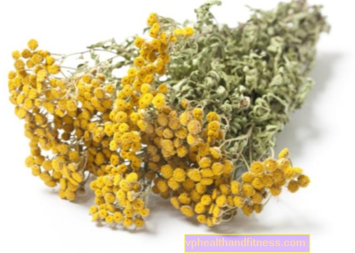 Tansy para garrapatas y otros gusanos. Propiedades y aplicación del tansy