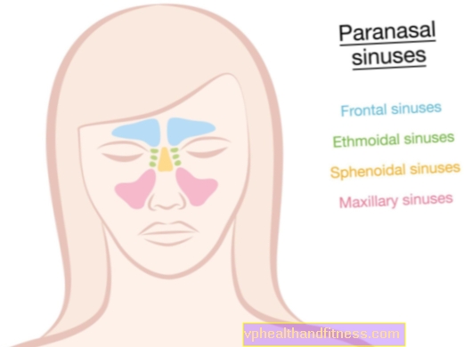 Sinus - struktur, fungsi, penyakit